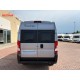 Dreamer D43 Select 20° Anniversario | Automatico